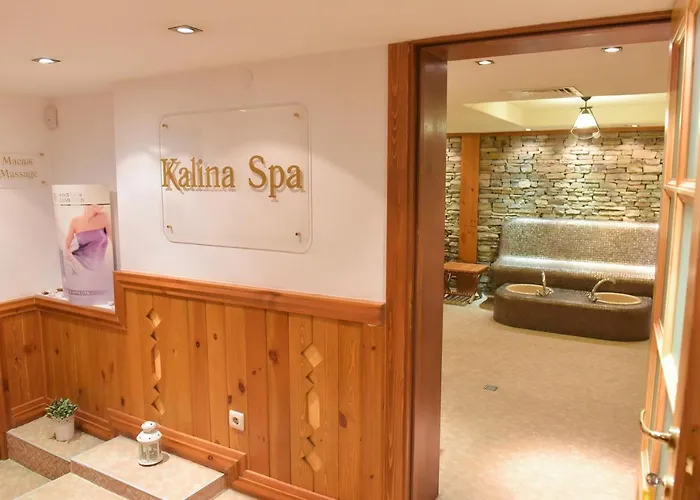 Guest house Kalina 3*